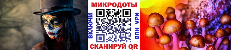 Псилоцибиновые грибы MAGIC MUSHROOMS  даркнет сайт  Озёрск 